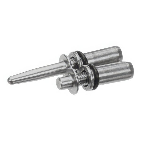 A close-up of two stainless steel screws and nuts.