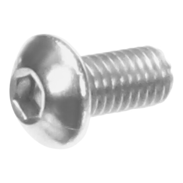 A close-up of an Alto-Shaam screw with a metal head.