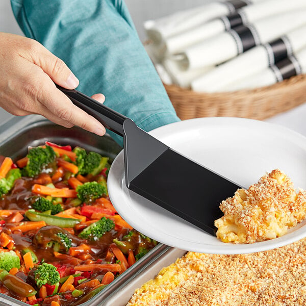 A person holding a black Visions disposable spatula over a plate of food.