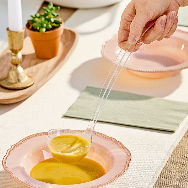 A person using a Visions clear plastic ladle to pour soup into a bowl.