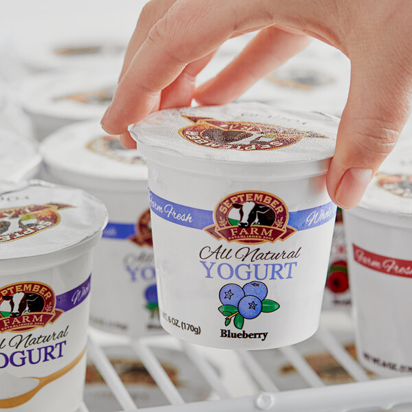 A hand holding a September Farm Blueberry Yogurt cup.