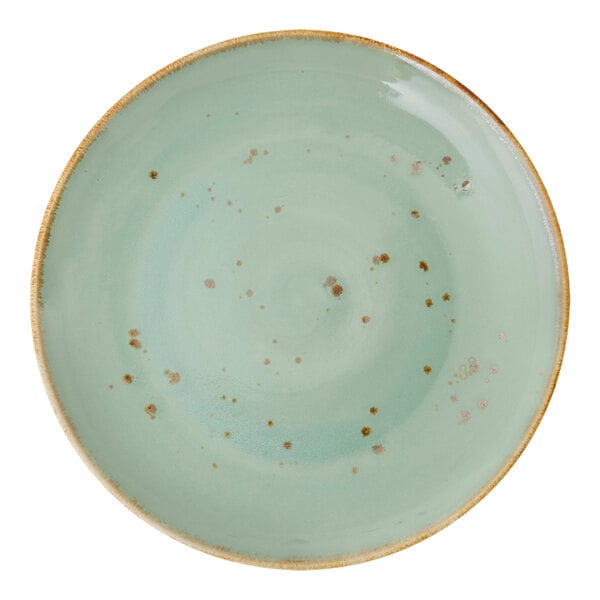 A close-up of a white Erthe by Fortessa Basics Celadon TechnoCeram plate with speckled dots.