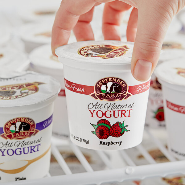 A hand holding a September Farm Raspberry yogurt container.