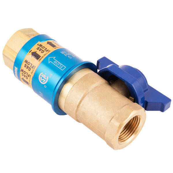 A blue and gold valve connected to a blue Dormont gas hose.