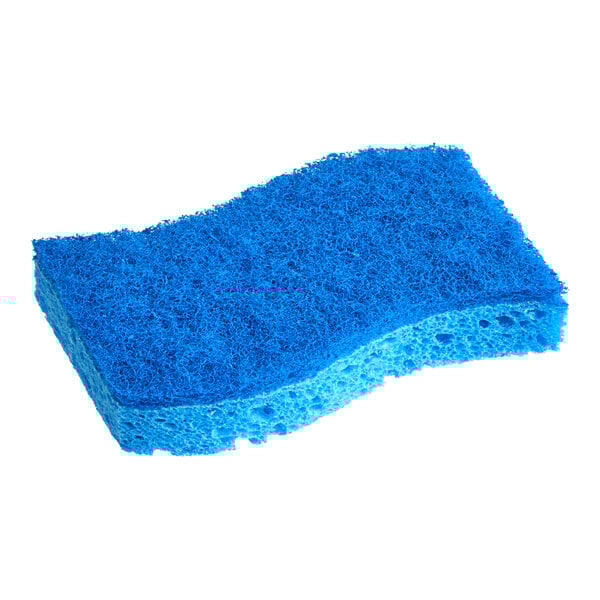 A blue 3M Scotch-Brite scrub sponge.