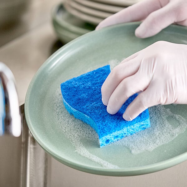 A person in gloves washing a plate with a 3M Scotch-Brite blue sponge.
