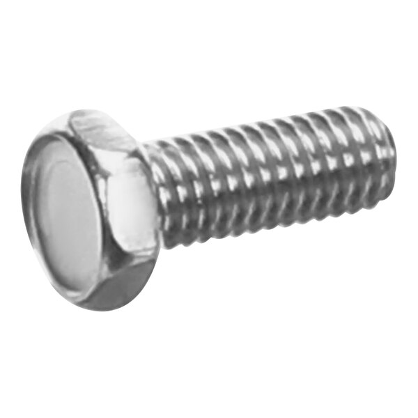 A close-up of a stainless steel hex head screw.