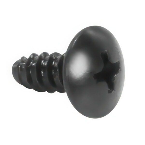 A black screw with a star head.