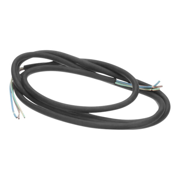 A close up of a black Henny Penny power cord with two wires.