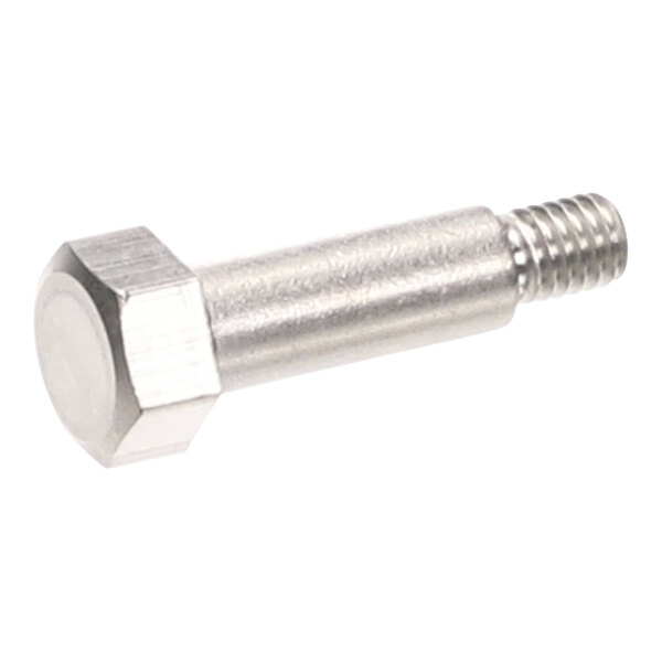 A close-up of a stainless steel hex screw.