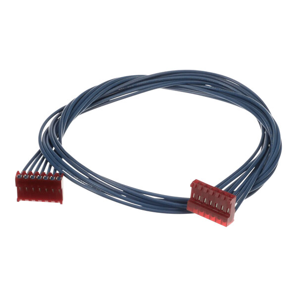 A close-up of a blue cable with a red connector.