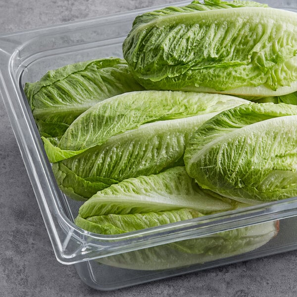 A plastic container filled with Fresh Artisan Romaine Lettuce on a table.