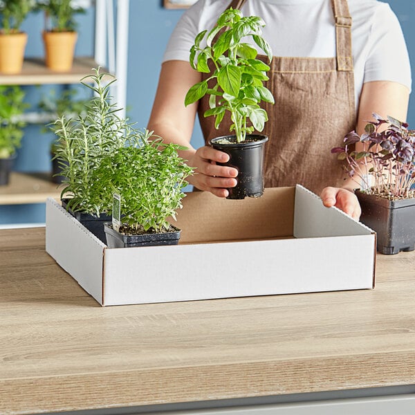 A woman holding a white Choice market tray with potted plants.