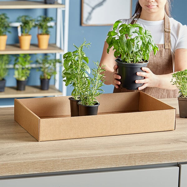 A woman holding a Choice Kraft corrugated greenhouse market tray with potted plants.