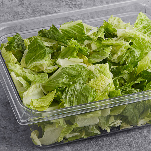 A plastic container filled with chopped romaine lettuce.