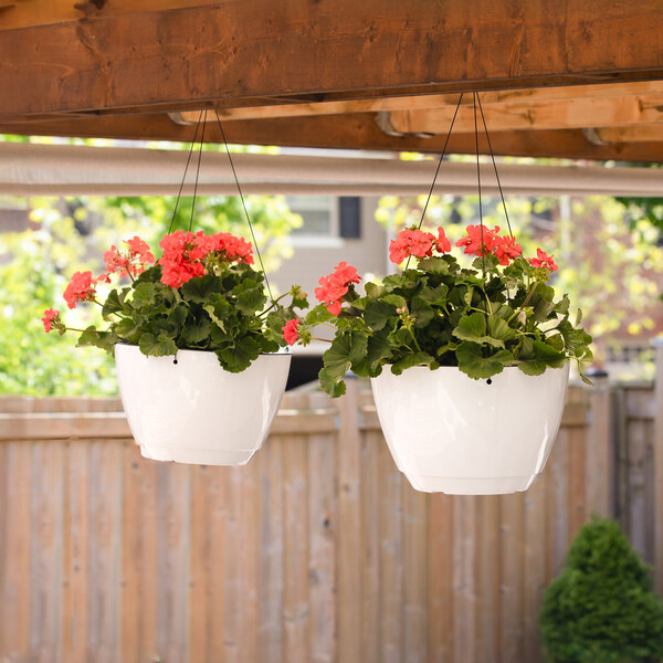 Mayne Caprio 14" x 9" White Hanging Planter