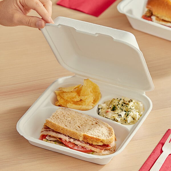 A hand holding a sandwich and potato chips in a Dart ProPlanet bagasse takeout container.