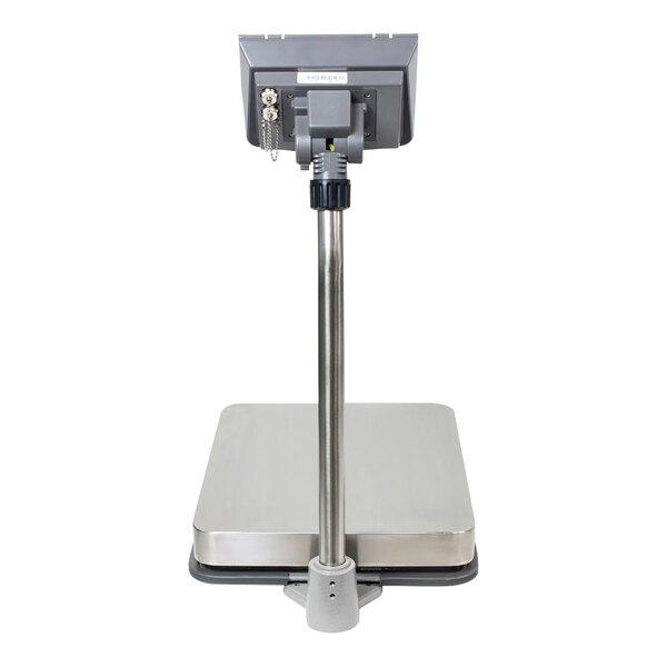 CAS BW-150DB BW Series 300 x 0.1 lb. Digital Bench Scale - Legal for Trade