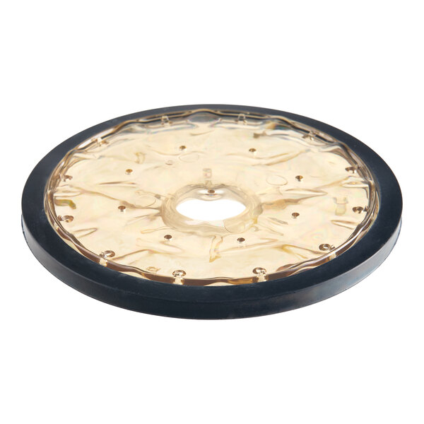 A round, flat, transparent disc with a black outer rim and multiple small holes arranged in a circular pattern.
