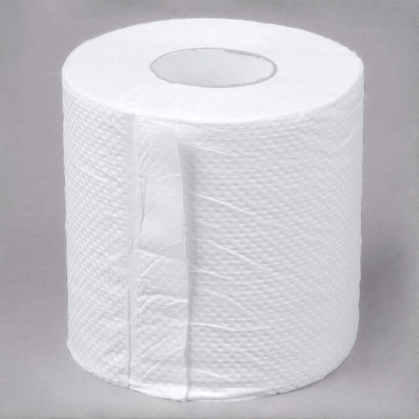 Lavex Janitorial Individually-Wrapped 2-Ply 500 Sheet ...