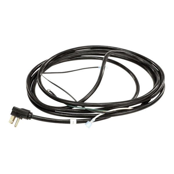 A black Traulsen cordset with a plug.