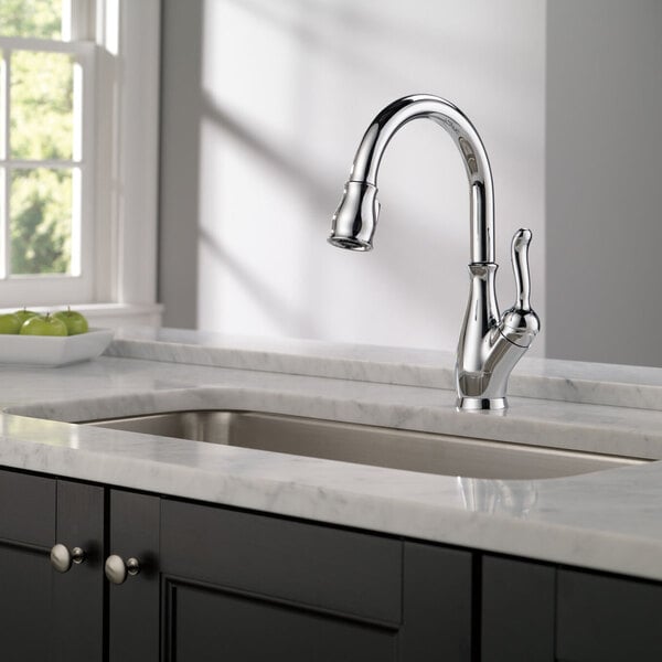 A sink with a Delta Leland kitchen faucet and a bowl of apples on the counter.