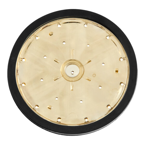 A round, gold-colored disc with multiple small holes arranged in a circular pattern and a black outer rim.