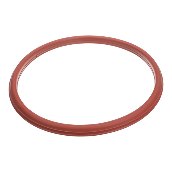 An Alliance Laundry door gasket with a red rubber ring.