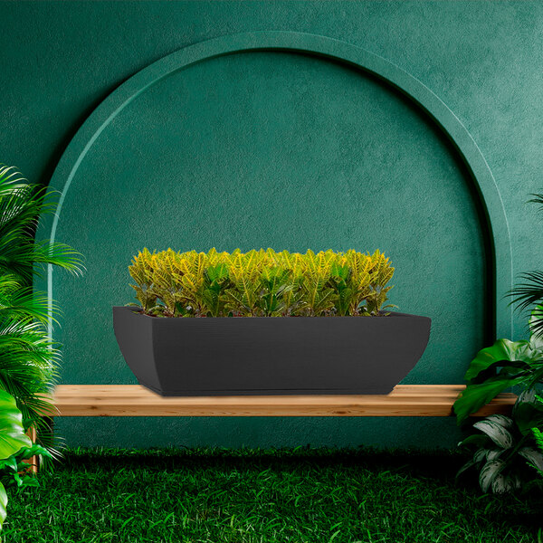 A Floridis Amsterdam rectangular black planter on a bench with green leaves.