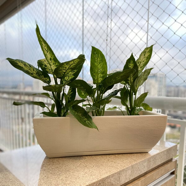 A plant in a Floridis Amsterdam rectangular beige planter on a balcony.