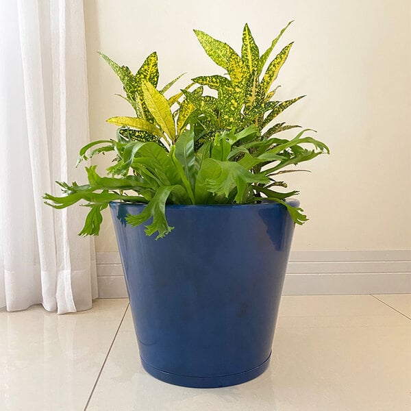 A Floridis blue marble planter with green and yellow plants.