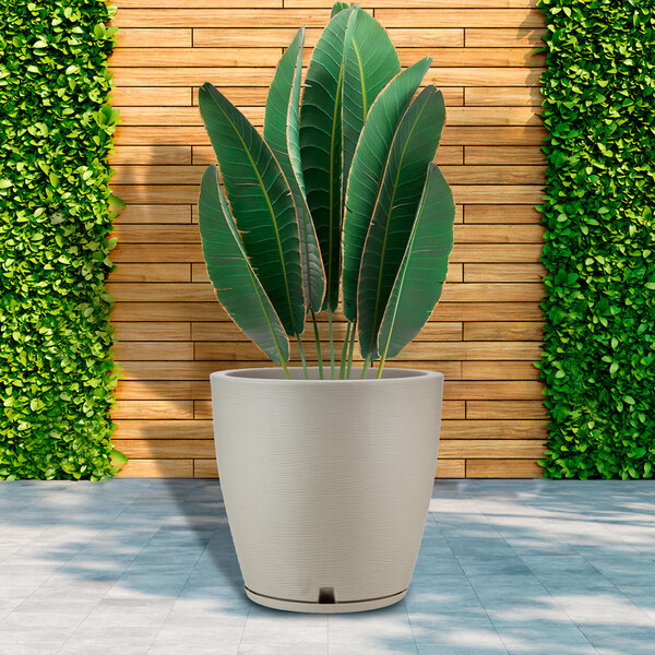 A white round Floridis Amsterdam planter with a green plant in it.