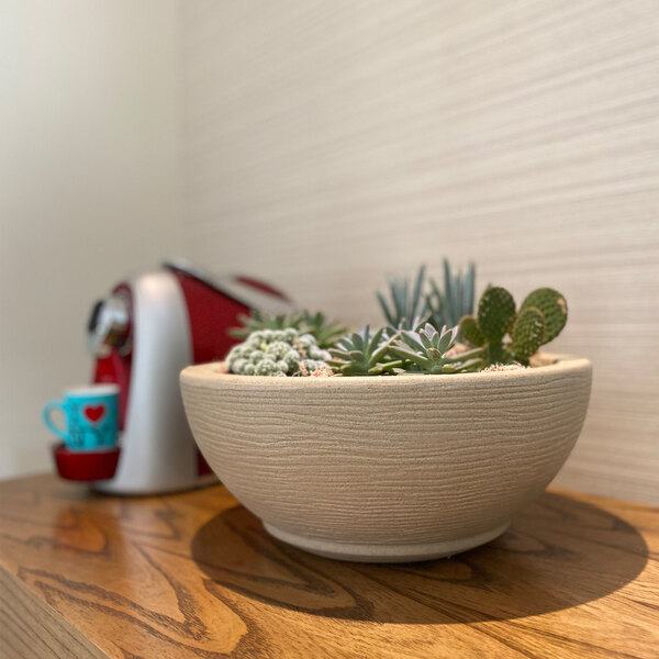 A Floridis Amsterdam bowl with a potted cactus.