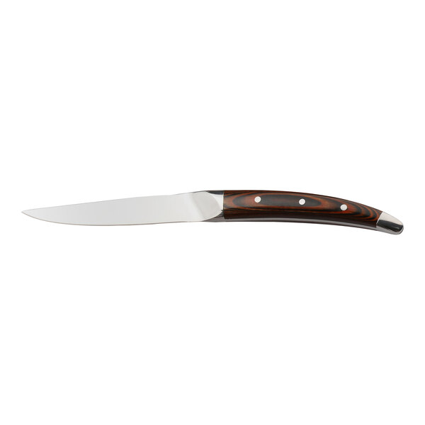 A WNK stainless steel steak knife with a pistachio pakkawood handle.