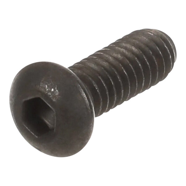 A close-up of a Pitco hex head screw with a black tip.