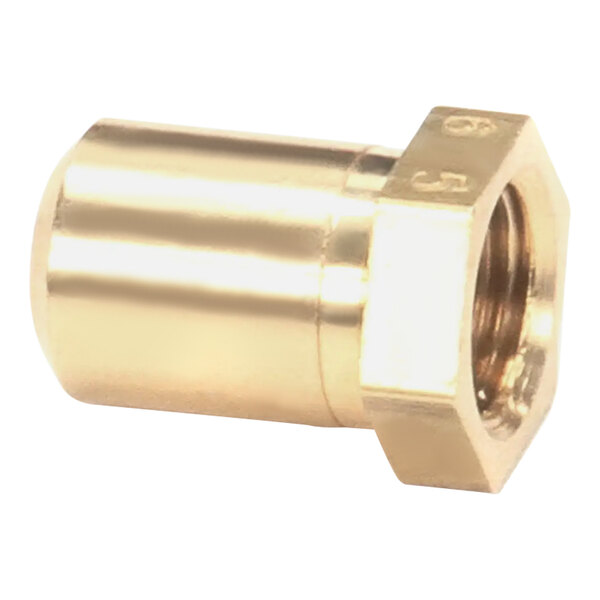 A brass pipe orifice with a threaded end.