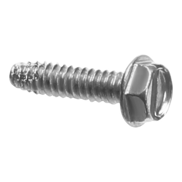 A close-up of a Pitco screw with a hex head.
