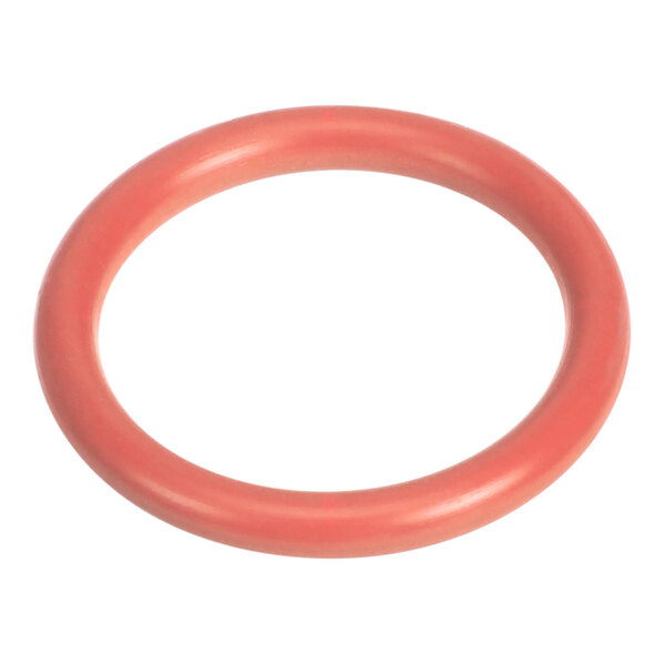 An orange rubber O-ring with a red circle on a white background.