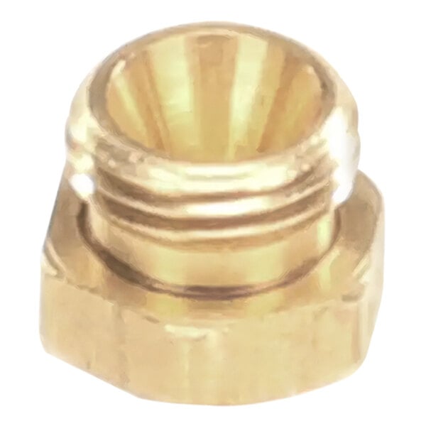 A brass threaded nut.