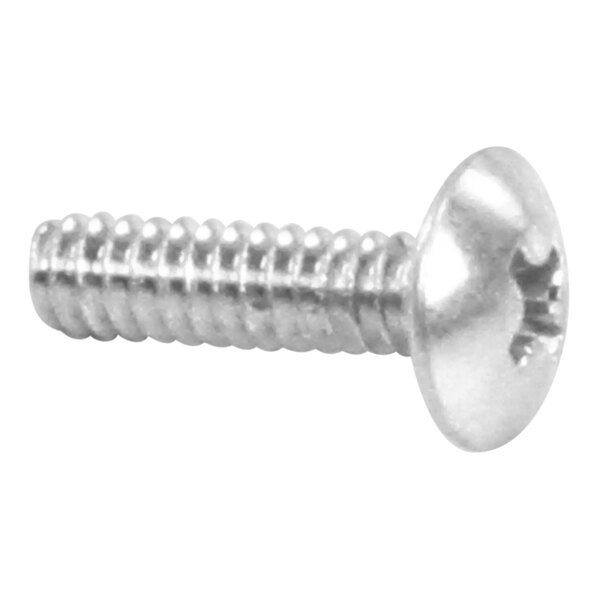 A close-up of a Pitco Phillips head screw.
