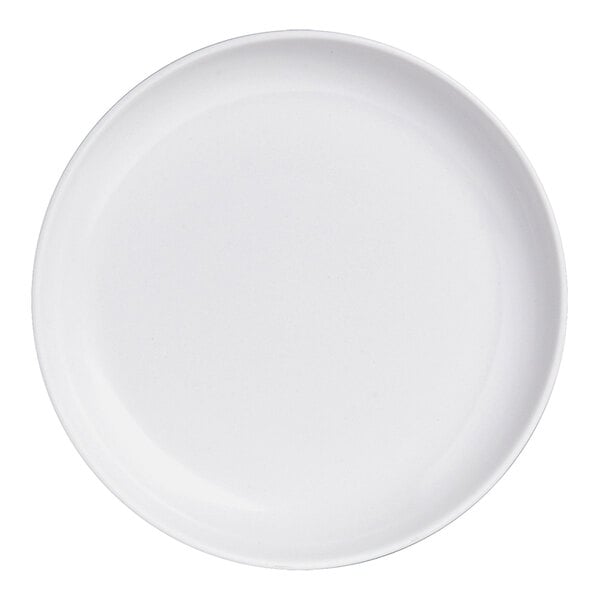 A white Delfin melamine coupe plate with a white rim.