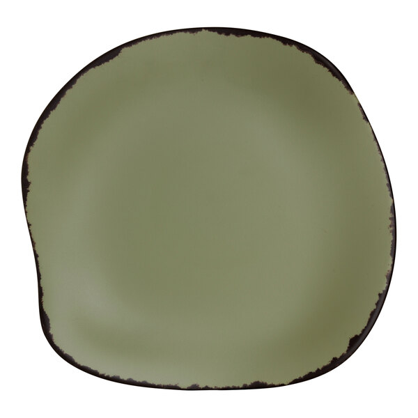 A sage green melamine plate with a black border.