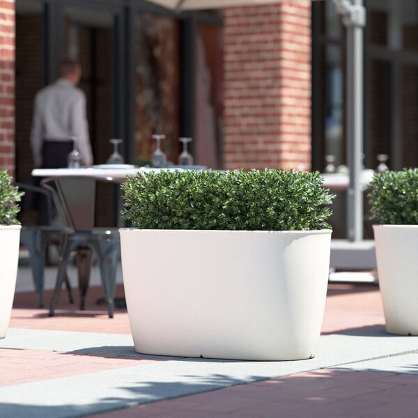 Three Lancaster Table & Seating white planters filled with plants on a sidewalk.