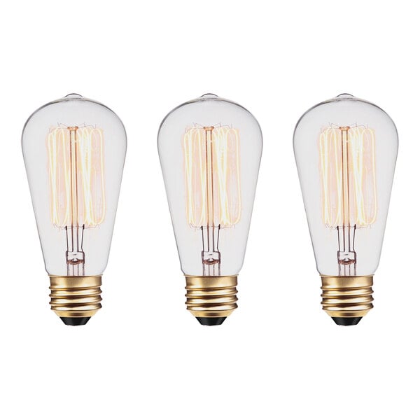 Three Globe Dimmable Clear Incandescent Tungsten Filament Edison light bulbs in glass bulbs.