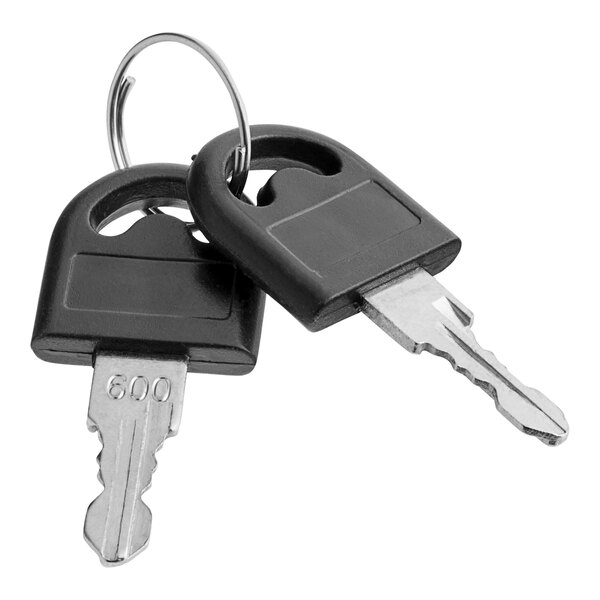 A pair of Lavex stainless steel toilet paper dispenser keys on a ring.