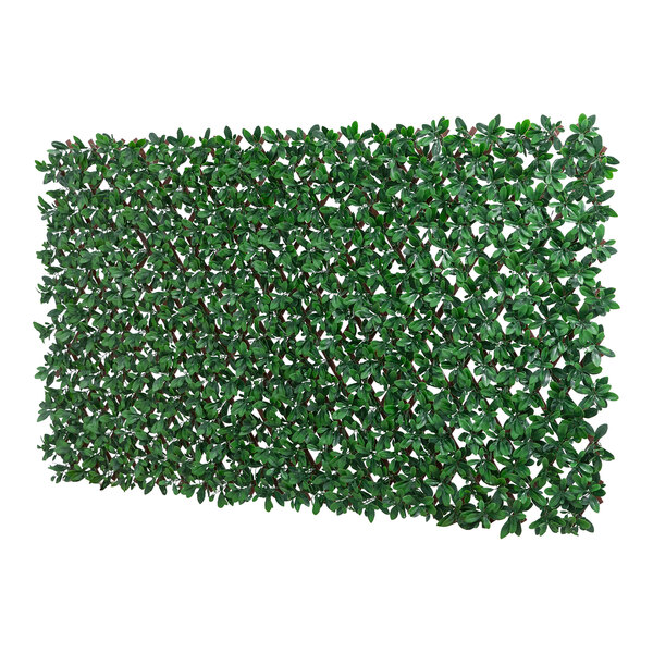 A NatraHedge artificial English laurel privacy fence with green leaves.