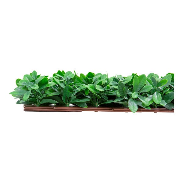 NatraHedge expandable artificial English Laurel privacy fence with a row of green leaves.