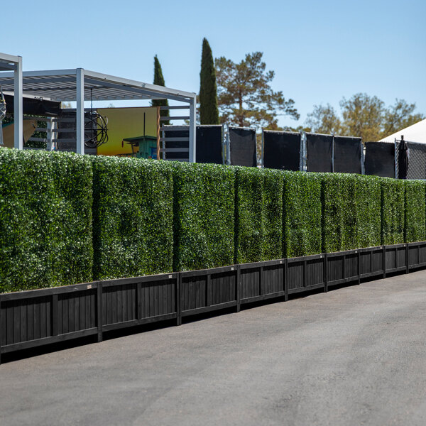 A row of NatraHedge artificial boxwood hedges in black wooden planters.