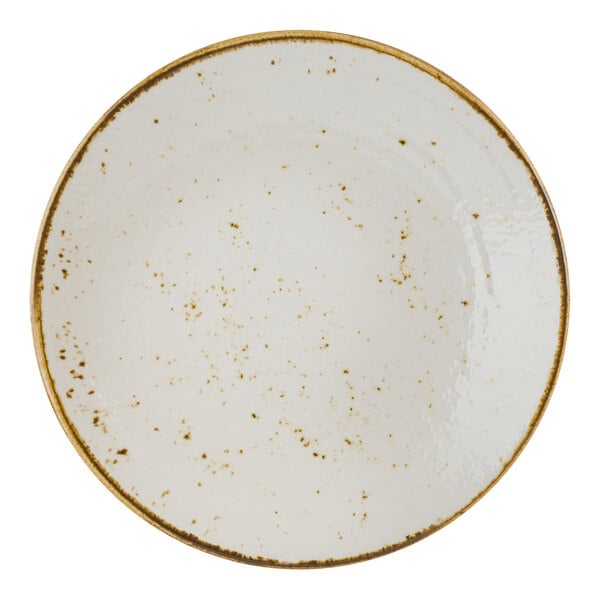 A white Creations Craft from Steelite International melamine plate with brown specks.