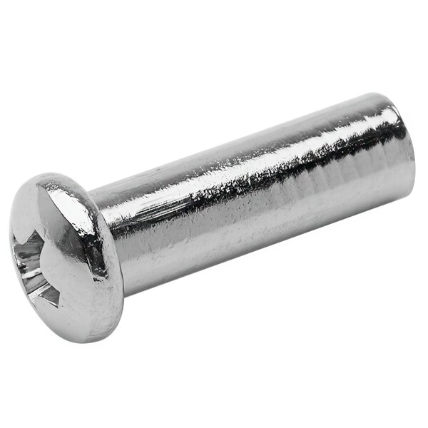 A close-up of a stainless steel screw.